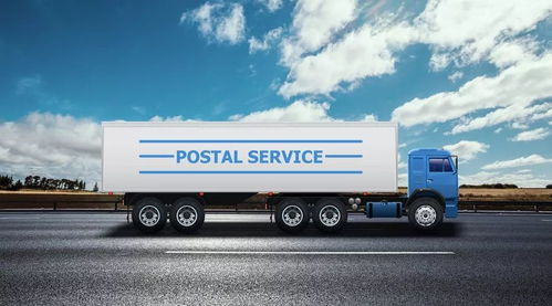 国际货代为何要入驻凤凰金刚网 数字化浪潮下的战略选择