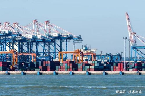 RPA机器人 货代行业的全能员工